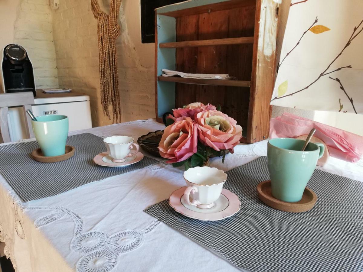 Bed And Breakfast Aurora 萨尔扎纳 外观 照片